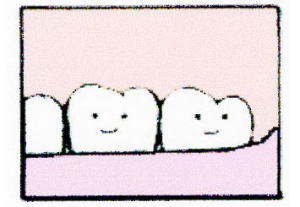 ނ̗\h